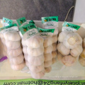 China 500g small packed fresh white garlic for sale New Caledonia